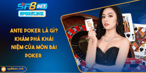 Ante Poker Là Gì? Khám Phá Khái Niệm Của Môn Bài Poker