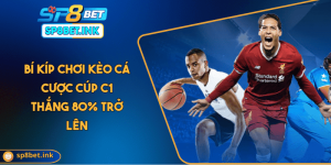 Bí Kíp Chơi Kèo Cá Cược Cúp C1 Thắng 80% Trở Lên
