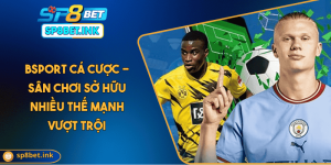 Bsport Cá Cược - Sân Chơi Sở Hữu Nhiều Thế Mạnh Vượt Trội