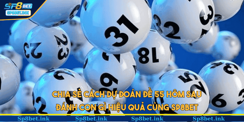 Chia sẻ cách dự đoán đề 55 hôm sau đánh con gì hiệu quả cùng SP8BET