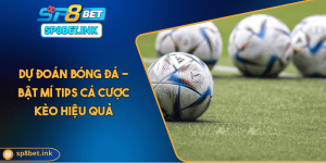 Dự Đoán Bóng Đá - Bật Mí Tips Cá Cược Kèo Hiệu Quả