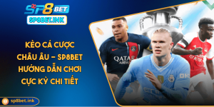 Kèo Cá Cược Châu Âu - SP8BET Hướng Dẫn Chơi Cực Kỳ Chi Tiết