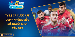 Tỷ Lệ Cá Cược Aff Cup - Những Điều Mà Người Chơi Cần Biết